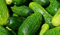 10 Tips for Growing Cucumbers