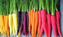 Get the Most Out of Your Carrot Harvest: Growing and Harvesting Tips