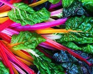 How to Grow Swiss Chard in Pots or Containers