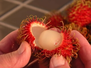 How to Grow Rambutan Trees