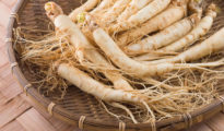 How to Grow Ginseng