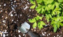 12 Clever Gardening Hacks Every Gardener Should Know