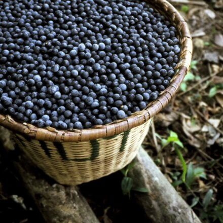 acai berries