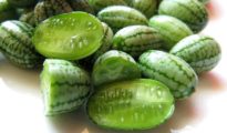 How to Grow Cucamelons