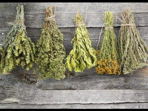 How to Dry Herbs – a DIY Guide to Drying Fresh Herbs