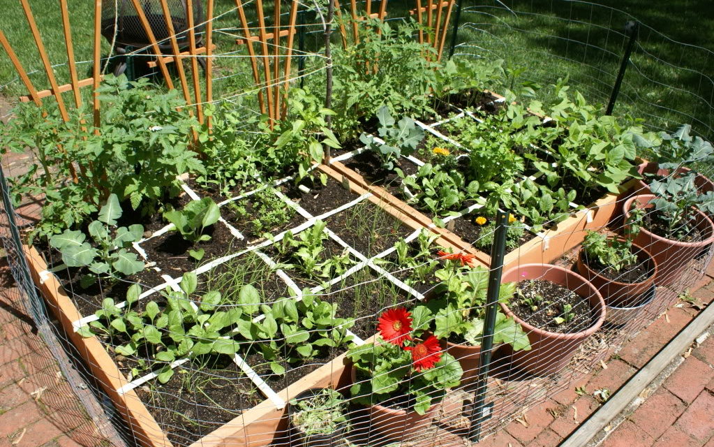 Organic gardening: Tips for growing a garden without the use of chemicals or synthetic fertilizers.