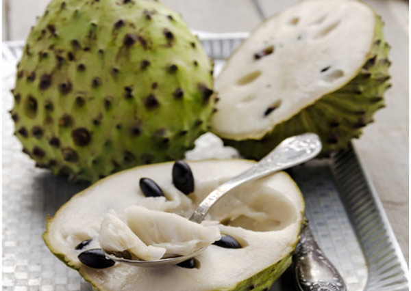 How to Grow Cherimoya Fruit