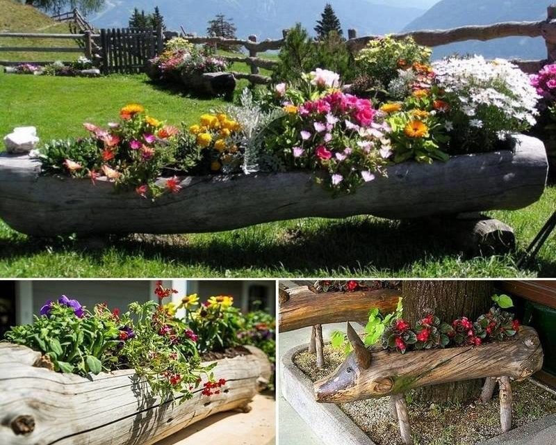 DIY Log Planter: How to Make a Log Planter