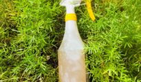 Homemade Garden Insect Repellent