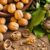 How to Grow Walnut Trees