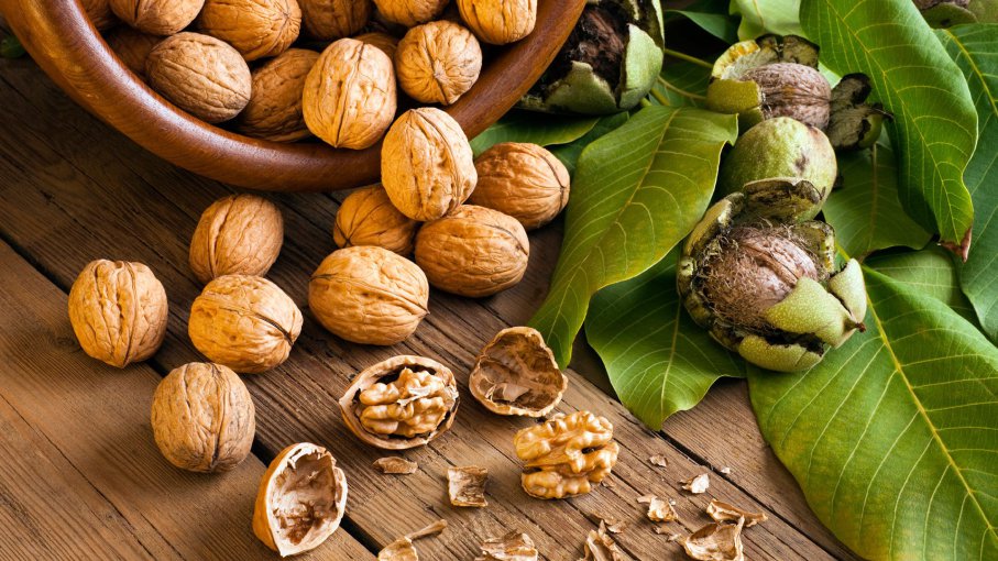 How to Grow Walnut Trees