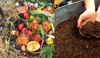How to Compost at Home