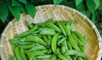 Tips for Growing Peas