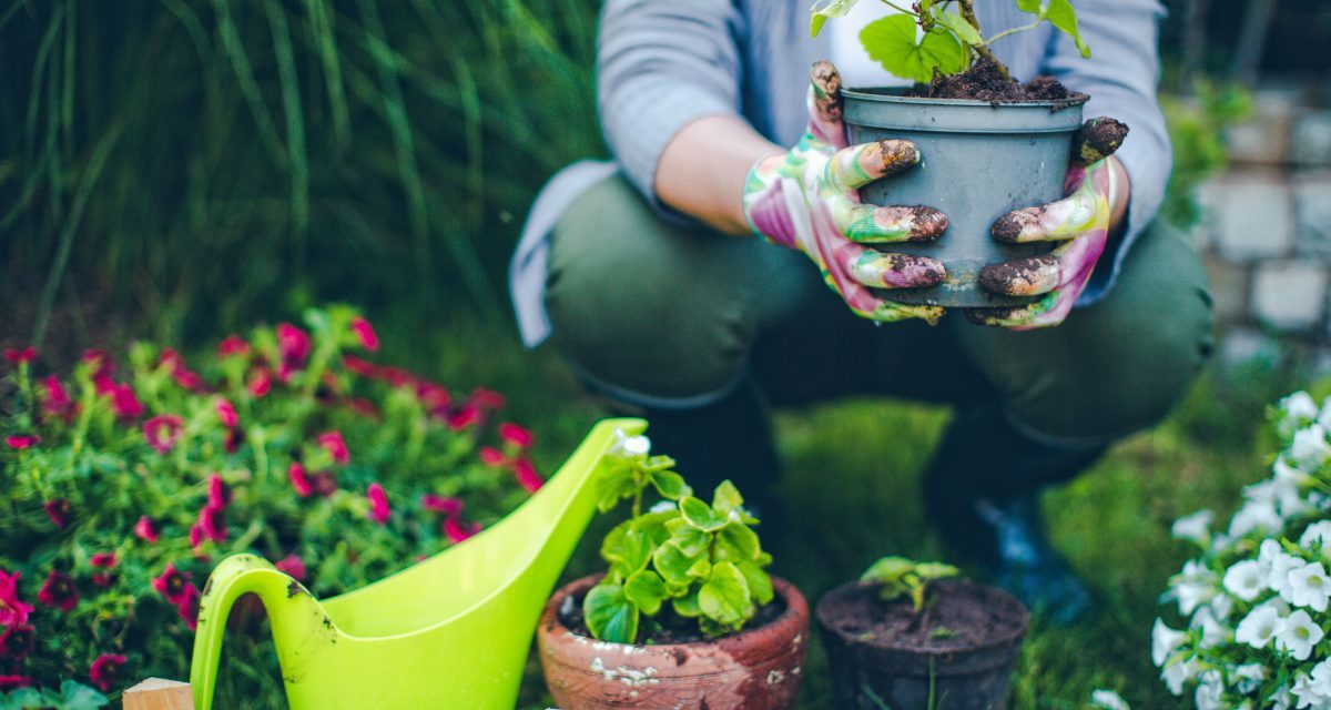 7 Gardening Mistakes Every Beginner Makes