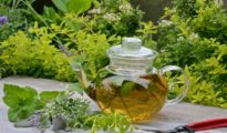 How to Grow a Tea Garden