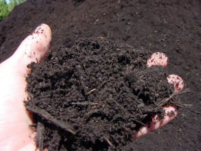 What is Well Draining Soil?