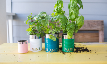 How to Make an Indoor Herb Garden