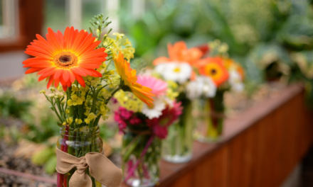 How to Keep Cut Flowers Fresh: A Guide to Making Cut Flowers Last Longer