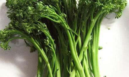 How to Grow Broccolini at Home