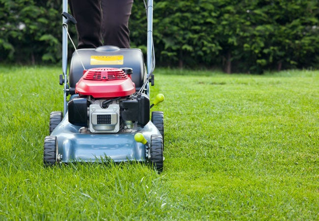 Best Time of Day to Mow the Lawn