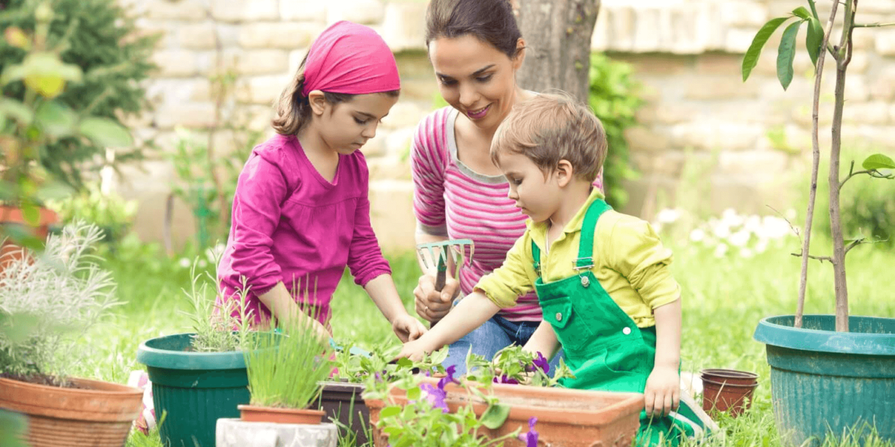 The Therapeutic Benefits of Gardening: How It Can Improve Your Mental and Physical Health