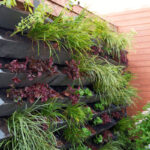 Vertical Gardening: Innovative Ideas for Urban Spaces