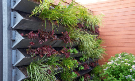 The Benefits of Vertical Gardening in Small Spaces