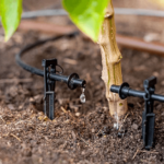 Drip Irrigation for Beginners: Efficient Watering for Your Plants